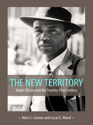 cover image of The New Territory